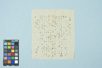 劉耀廷寄給施月霞的書信（第十三信）（信箋）（1953年7月13日）藏品圖，第2張