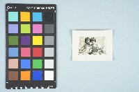 劉美蜺與劉美虹四歲半合照（1956年）藏品圖，第3張