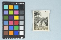 劉美蜺與劉美虹兩歲半與母親友人合照（1954年）藏品圖，第3張