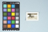 劉美蜺姐妹與同學合照藏品圖，第3張