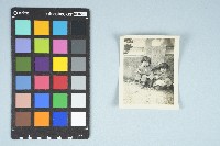 劉美蜺與劉美虹兩歲半合照（1954年）藏品圖，第3張