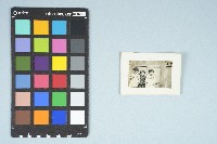 劉美蜺與劉美虹兩歲多與鄰居小孩合照（1954年）藏品圖，第2張