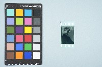 施月霞個人照底片藏品圖，第3張