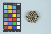 施月霞個人飾品藏品圖，第1張