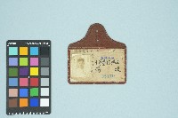 高波台糖公司屏東總廠員工出入證藏品圖，第1張