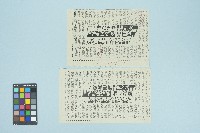 《自立早報》剪報資料「 一水之隔，無盡鄉愁！兩岸世界多少去留？」（1987年9月21日）藏品圖，第1張