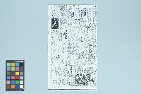 《聯合報》第二版剪報資料「 五批難胞三十人 乘輪昨日抵台」（1962年8月16日）藏品圖，第1張