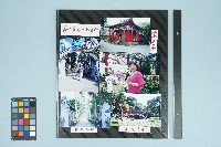 高波攝蔣介石士林官邸照片藏品圖，第1張