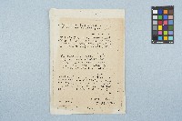 Lynn Miles致蔣經國總統陳情信藏品圖，第1張