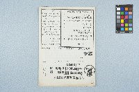 台灣民主運動海外同盟快訊（第24號）（1979年8月3日）藏品圖，第1張