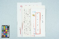 田乾祥建言總統府回函（華總公三字第09300161600號）（2004年9月21日）藏品圖，第1張