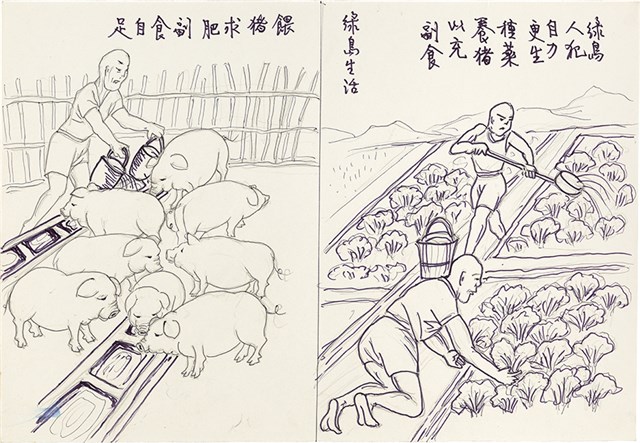 歐陽劍華之入獄者畫作「餵豬求肥、副食自足」的圖片