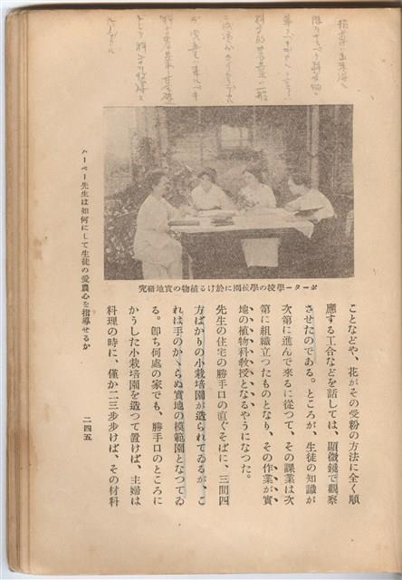 日文版《哈威老師》藏品圖，第271張