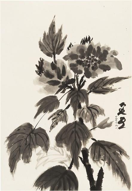 牡丹藏品圖，第1張