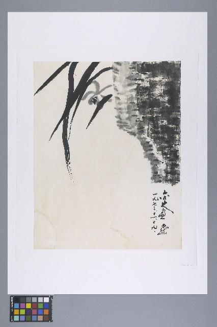 劉辰旦創作之《蘭花》藏品圖，第2張