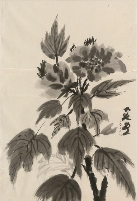 牡丹藏品圖，第2張