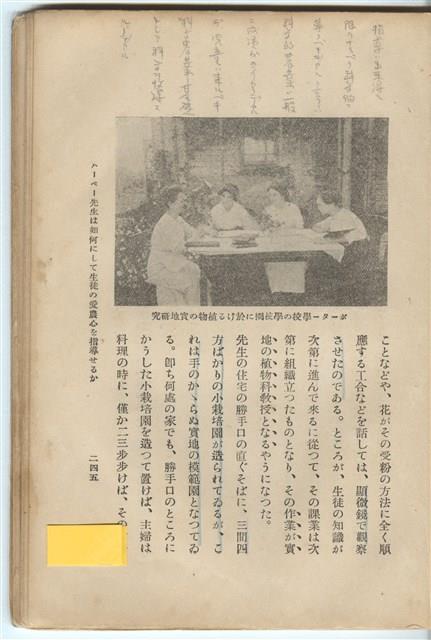 日文版《哈威老師》藏品圖，第270張
