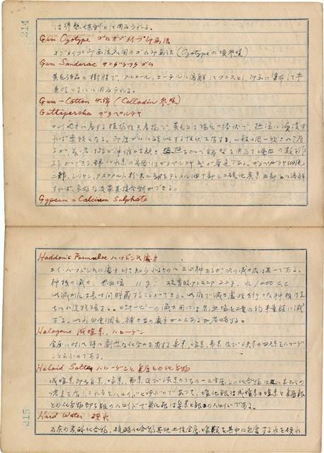 「攝影用術語、藥名辭典」（日）藏品圖，第110張