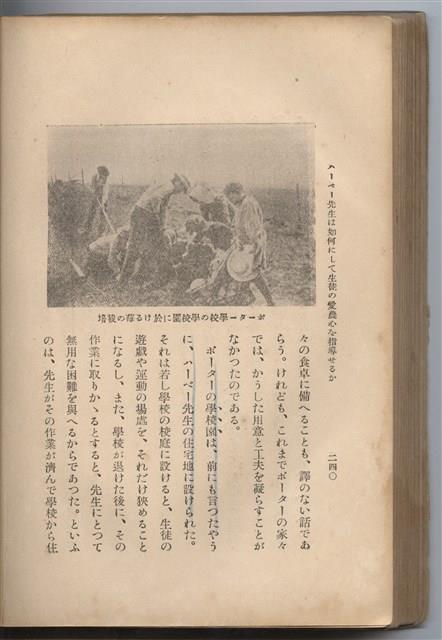 日文版《哈威老師》藏品圖，第265張