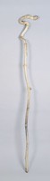 Bamboo Cane Collection Image, Figure 1, Total 2 Figures