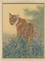 幼虎藏品圖，第1張