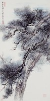 松樹藏品圖，第1張