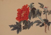 工筆牡丹藏品圖，第2張