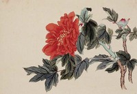 工筆牡丹藏品圖，第1張