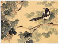 山鳥藏品圖，第2張