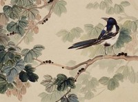 山鳥藏品圖，第1張