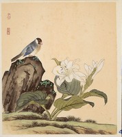 鸚鵡花卉藏品圖，第2張