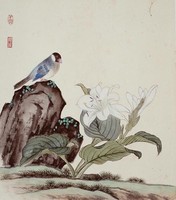 鸚鵡花卉藏品圖，第1張