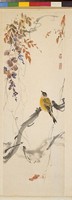 畫眉鳥藏品圖，第2張