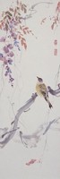 畫眉鳥藏品圖，第1張