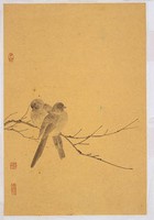 枯枝斑鳩藏品圖，第2張