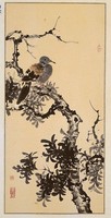 斑頸鳩藏品圖，第2張