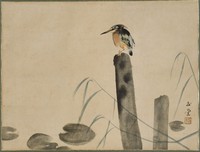 鳥藏品圖，第1張