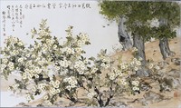 臺灣野薔薇藏品圖，第1張