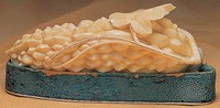 涼瓜藏品圖，第2張