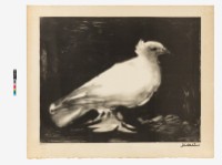 The Dove Collection Image, Figure 2, Total 3 Figures
