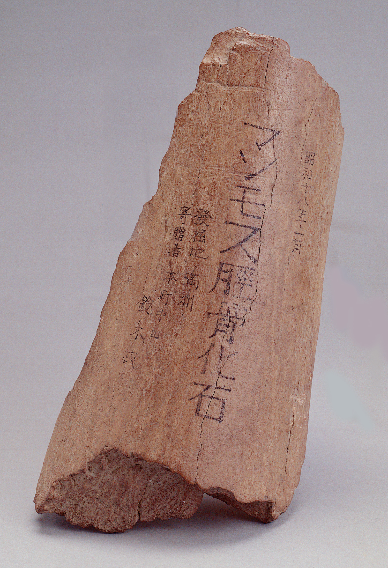 226_ib6946na0001s.jpg