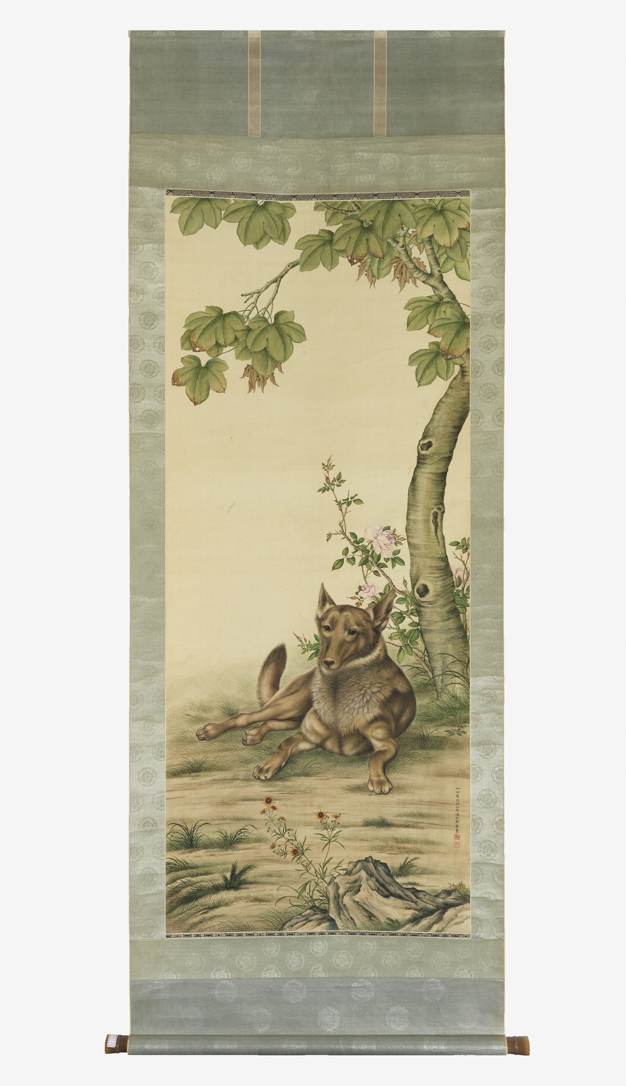 圖檔名稱：258_cp101-00063na0001t_2019.jpg