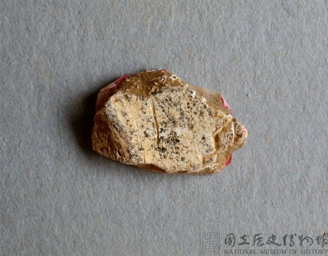 甲骨殘片藏品圖，第1張