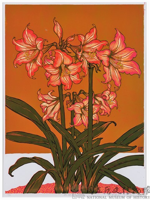 孤挺花  藏品圖，第1張