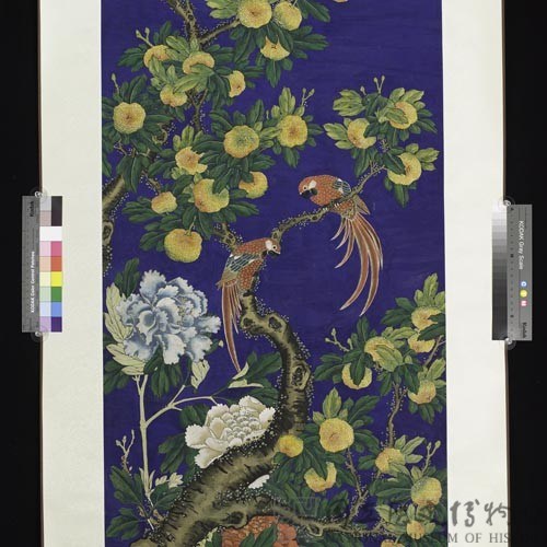 彩色花鳥藏品圖，第3張