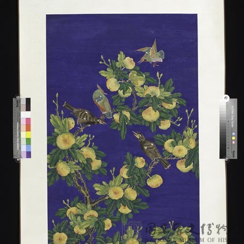 彩色花鳥藏品圖，第2張