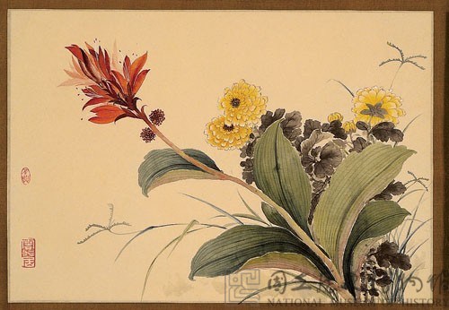 紅蕉黃菊藏品圖，第2張