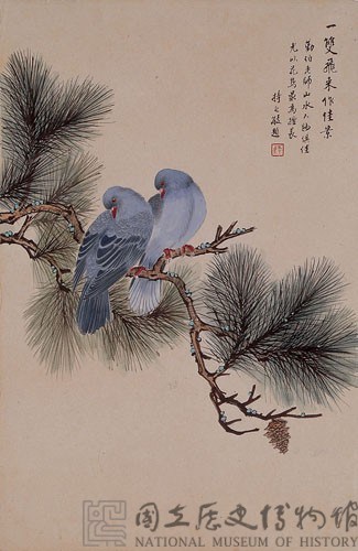 松枝雙鴿藏品圖，第2張
