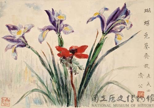 蝴蝶兔葵齊放藏品圖，第1張