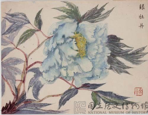 綠牡丹藏品圖，第1張